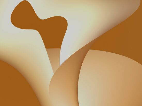 1776357161-91584-2518-lxb_photoDP99ZDv0G-Ilxb_photo-