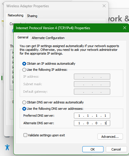 A screenshot of a Windows network adapter dialog. It shows a set of radio buttons and input boxes with dots in them. The top area has the radio button labeled Obtain an IP address automatically selected. Below, the radio button labeled Use the following DNS server addresses is labeled and the two boxes for DNS addresses each have an IP address in them.